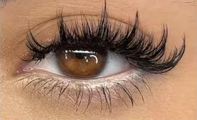Callista Cils Magnétiques – Collection NOVA